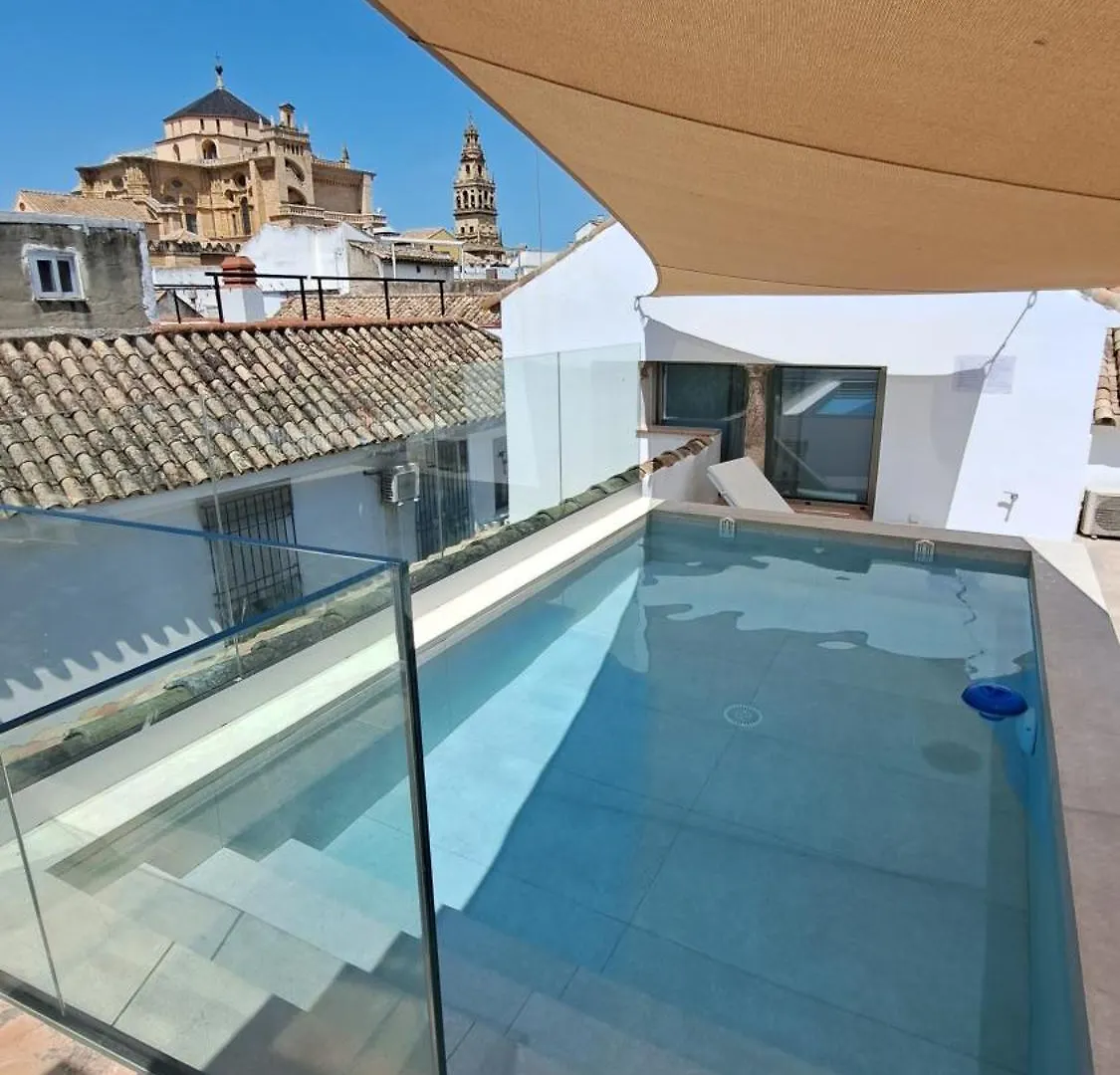 Casa Del Cardenal Apartment Cordoba Spain