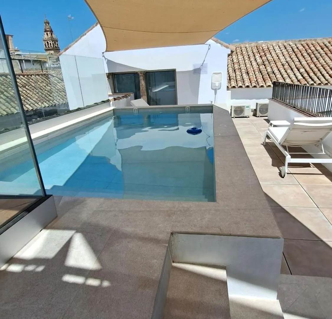 Casa Del Cardenal Apartment Cordoba